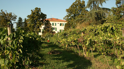 Antica Acetaia Villa Bianca