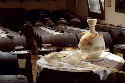 Azienda Agricola Leonardi Giovanni