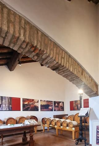Sapori tradizionali modenesi immortalati dai clienti all'Acetaia, Modena – foto 8