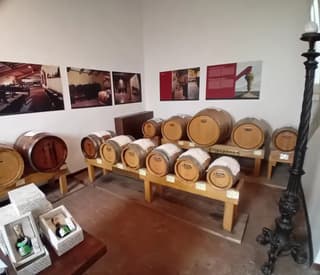 Sapori tradizionali modenesi immortalati dai clienti all'Acetaia, Modena – foto 9