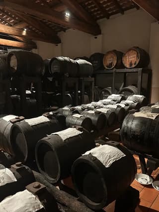 Sapori autentici negli scatti all'Acetaia Giusti, Modena – foto 7