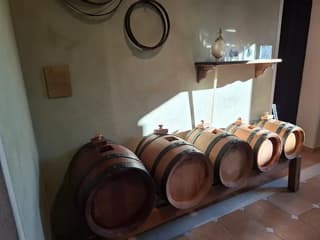 Sapori autentici negli scatti all'Acetaia Giusti, Modena – foto 12
