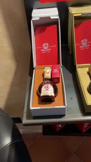 L'oro nero catturato negli scatti da Malpighi, Modena – foto 6