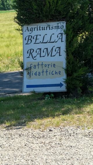 Scattate dai clienti, Modena – foto 4