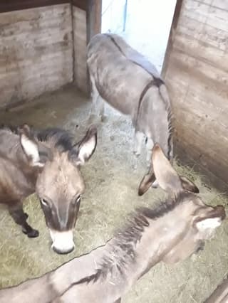 Scattate dai clienti, Modena – foto 8