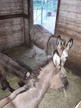 Scattate dai clienti, Modena – foto 9