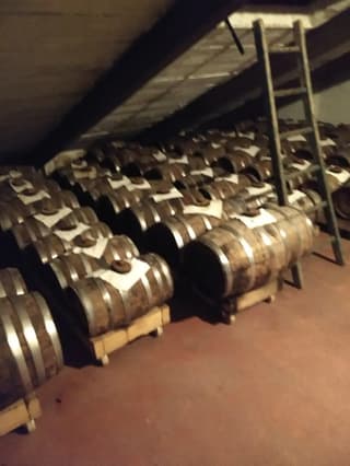 Scattate dai clienti, Modena – foto 2