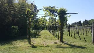 Scattate dai clienti, Modena – foto 6