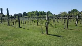 Scattate dai clienti, Modena – foto 7