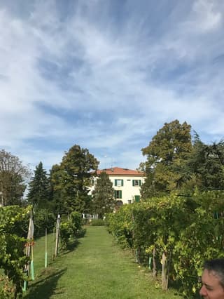 Scattate dai clienti, Modena – foto 9