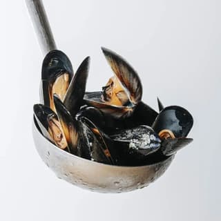 Sapori di mare catturati dai clienti da Bellucci, Modena – foto 5