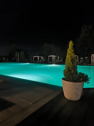 Scattate dai clienti, Modena – foto 5