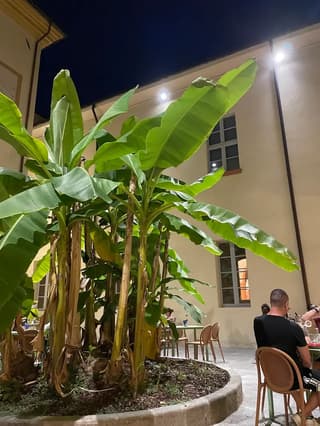 Scattate dai clienti, Modena – foto 5