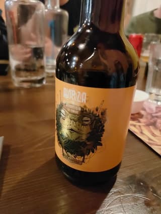 Brace e birra immortalati dai clienti al Tramvai, Modena – foto 6